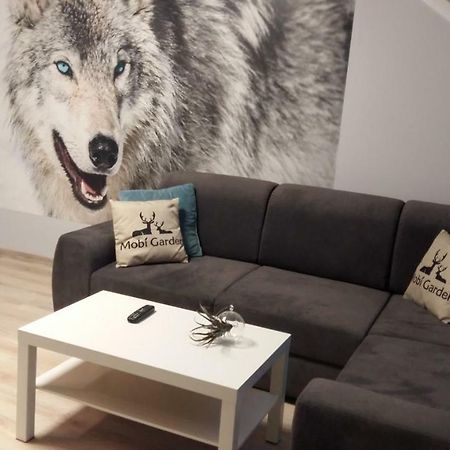 Apartament Widokowy Ustrzyki Dolne Εξωτερικό φωτογραφία